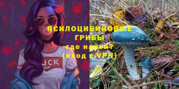 мет Армянск