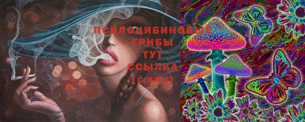 Альфа ПВП Аркадак