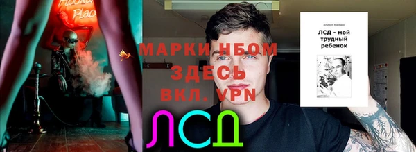 Альфа ПВП Аркадак