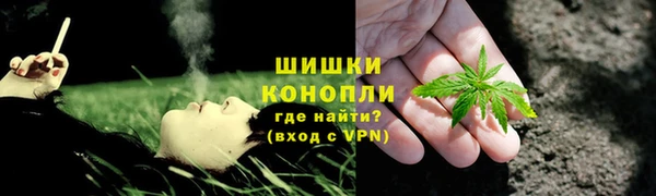 Альфа ПВП Аркадак