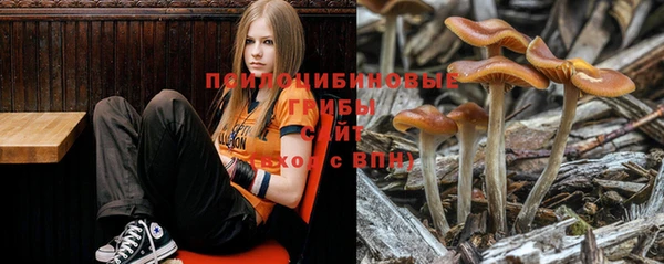 мет Армянск