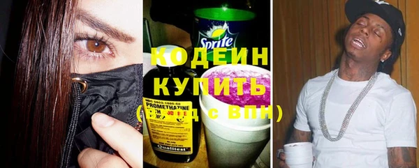 бошки Пересвет