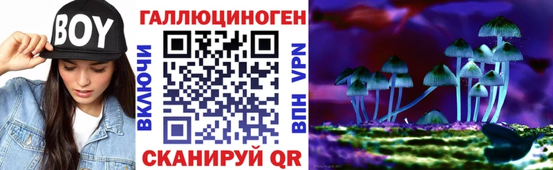 где купить наркоту  Урень  Псилоцибиновые грибы мухоморы 